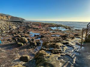 Sd Sunset Cliffs Natural Park Tide Pools